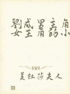 刘成男主角刘雪女主角的小说