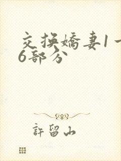 交换娇妻1一36部分