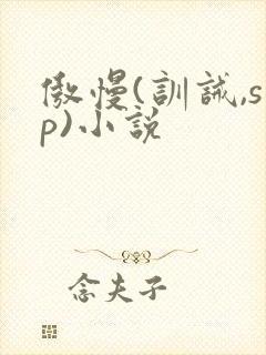 傲慢(训诫,sp)小说