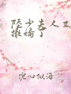 陆少夫人又双叒撒娇了