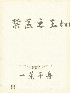 禁区之王txt