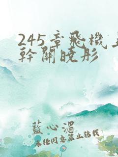 245章飞机上干关晓彤