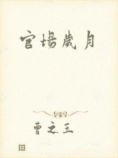 官场岁月
