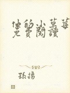 他的小草莓全文免费阅读