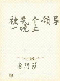 被几个领导玩弄一晚上