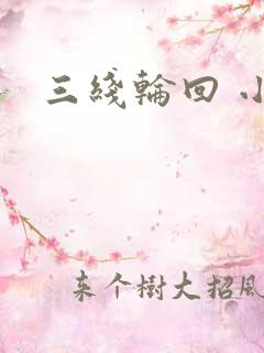 三线轮回 小说