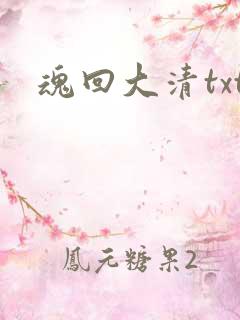 魂回大清txt