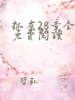 抓灰28章全部免费阅读