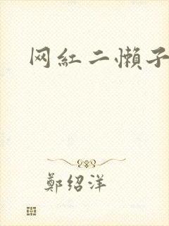 网红二懒子车祸