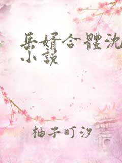 岳婿合体沈绝的小说