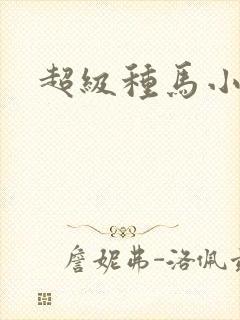 超级种马小说