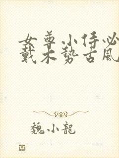 女尊小侍必须佩戴木势古风