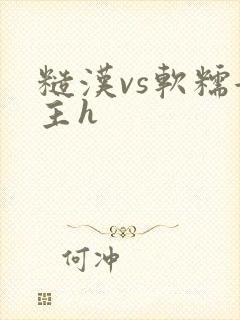 糙汉vs软糯女主h