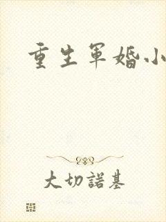 重生军婚小媳妇