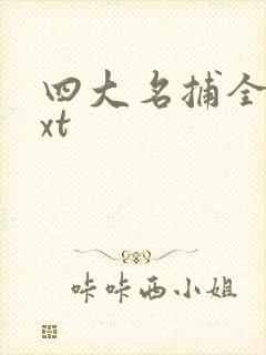 四大名捕全集txt