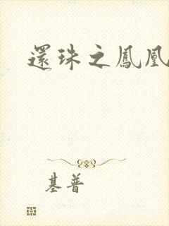 还珠之凤凰重生