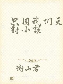 只因我们天生一对小说