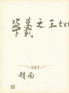 盗墓之王txt下载