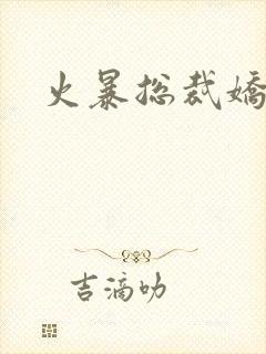 火暴总裁娇柔妻