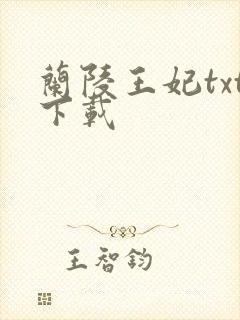 兰陵王妃txt下载