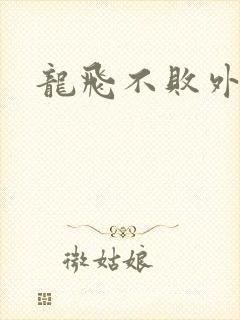 龙飞不败外传