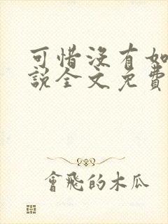 可惜没有如果小说全文免费阅读