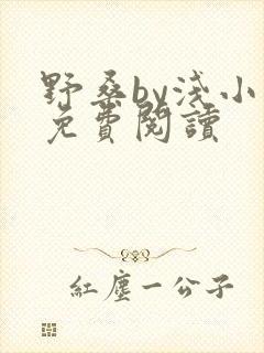 野桑by浅小说免费阅读