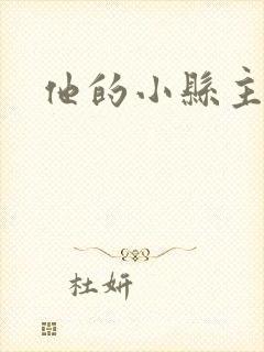 他的小县主
