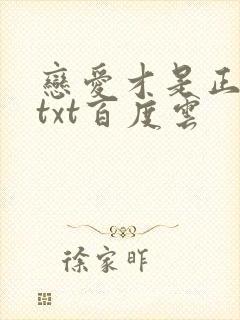 恋爱才是正经事txt百度云