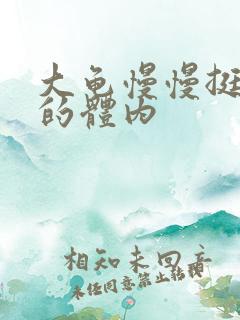 大龟慢慢挺进我的体内