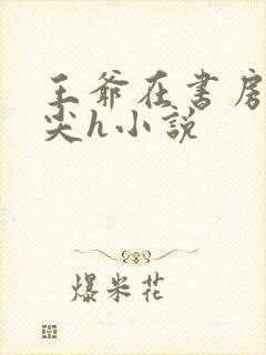 王爷在书房含乳尖h小说