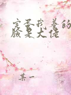 完蛋我养的小白脸是大佬