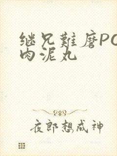 继兄难磨PO猪肉泥丸