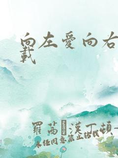 向左爱向右爱下载