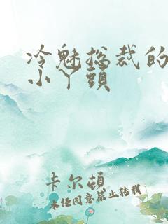 冷魅总裁的纯纯小丫头