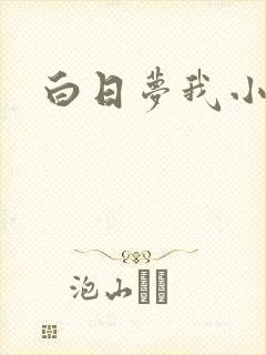 白日梦我小说