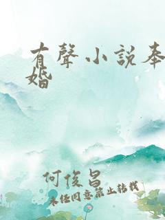 有声小说奉子成婚