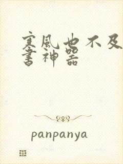 寒风也不及她追书神器