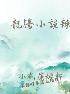 龙腾小说辣文网