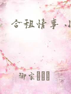 合租情事 小说