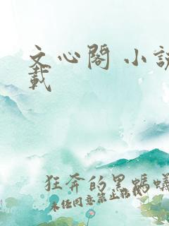 文心阁 小说连载