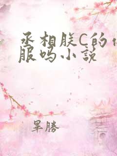 丞相朕C的你舒服吗小说