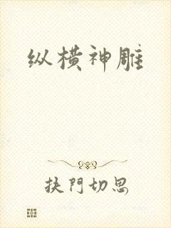 纵横神雕