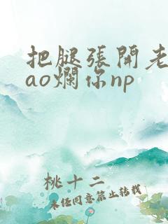 把腿张开老子cao烂你np