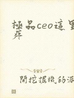 极品ceo这里疼