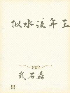 似水流年王小波