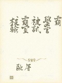 校霸被学霸压实验室试管