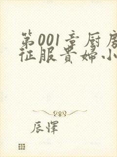 第001章厨房征服贵妇小说