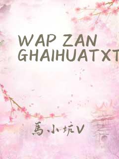 WAP ZANGHAIHUATXT