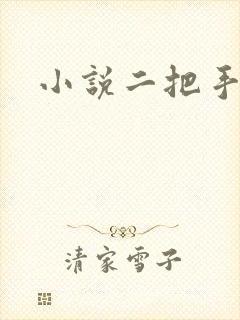 小说二把手